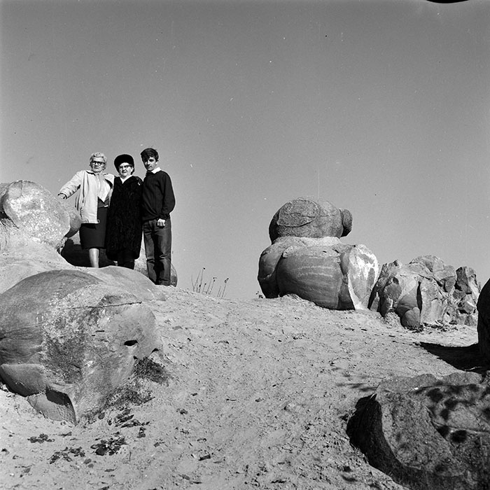 minerva_1972_c4_c8r1_015