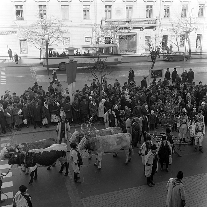 minerva_1972_c4_c9r2_033