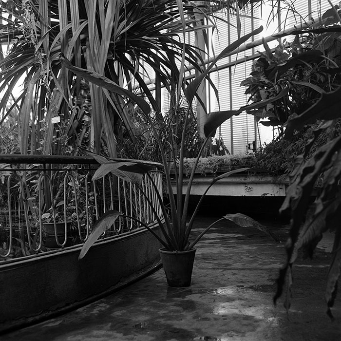 minerva_1972-1976_c1_c01_003