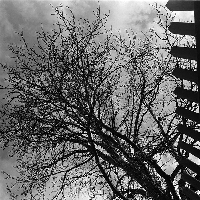 minerva_1972-1976_c1_c06_093