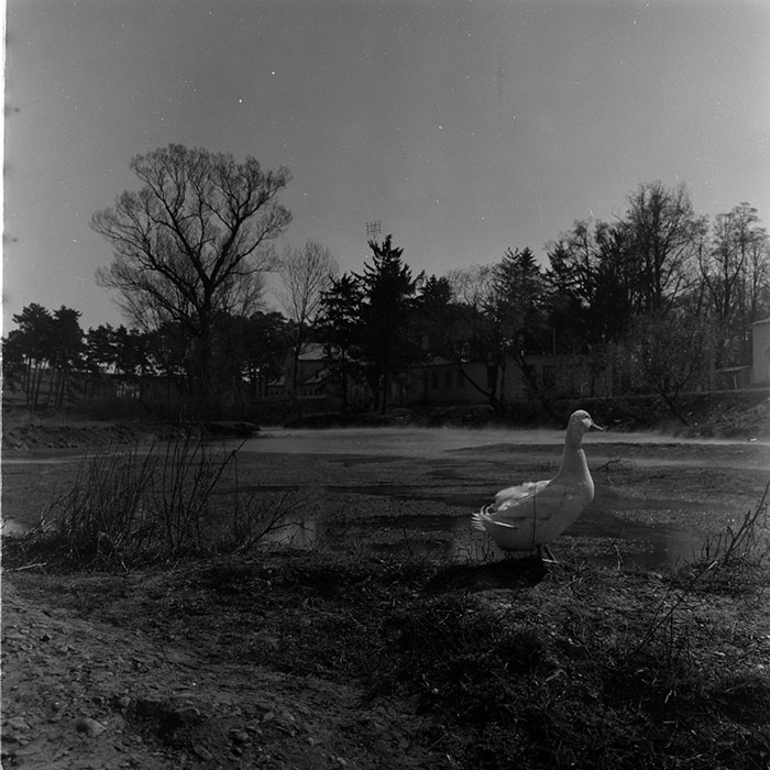 minerva_1972-1976_c1_c06_125