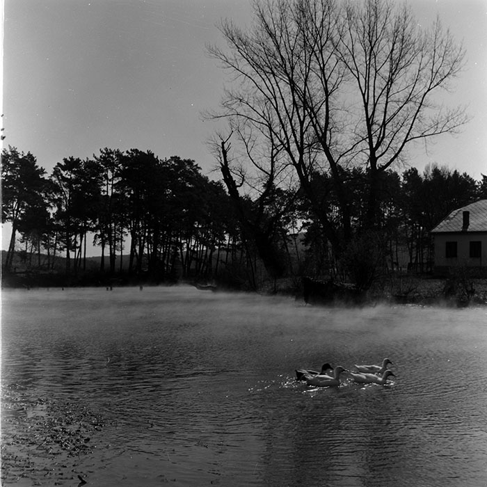 minerva_1972-1976_c1_c06_136