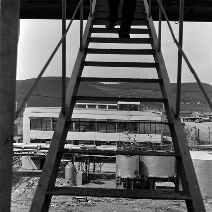 minerva_1972-1976_c1_c07_101