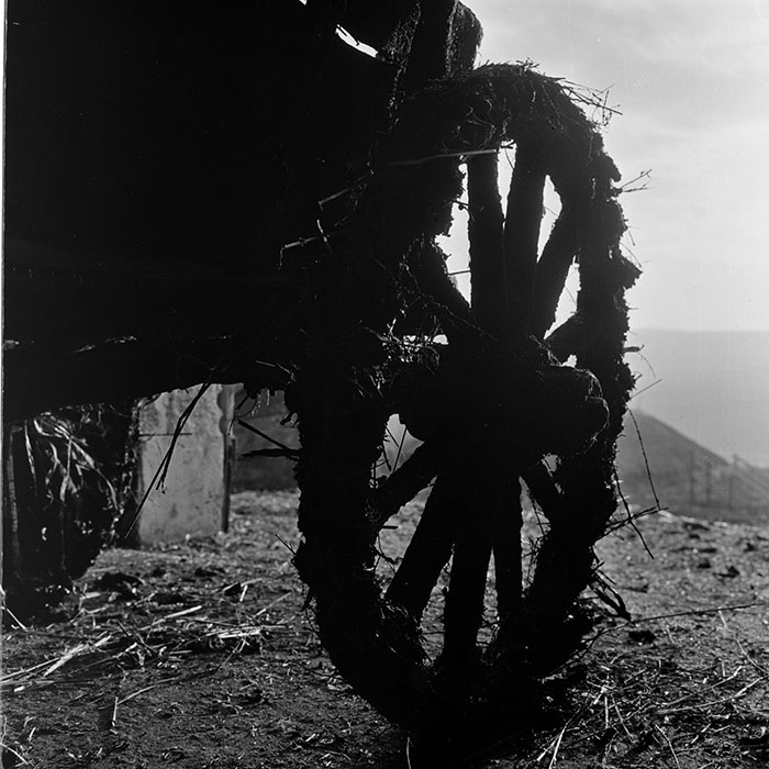 minerva_1972-1976_c1_c08_032