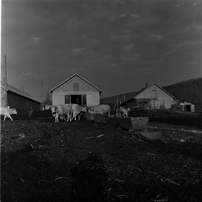 minerva_1972-1976_c1_c08_033