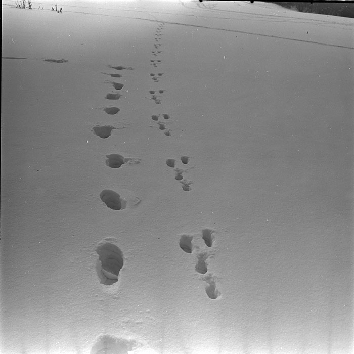 minerva_1972-1976_c1_c09_010