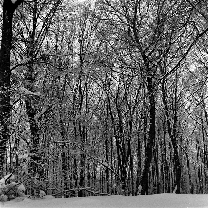 minerva_1972-1976_c1_c09_015