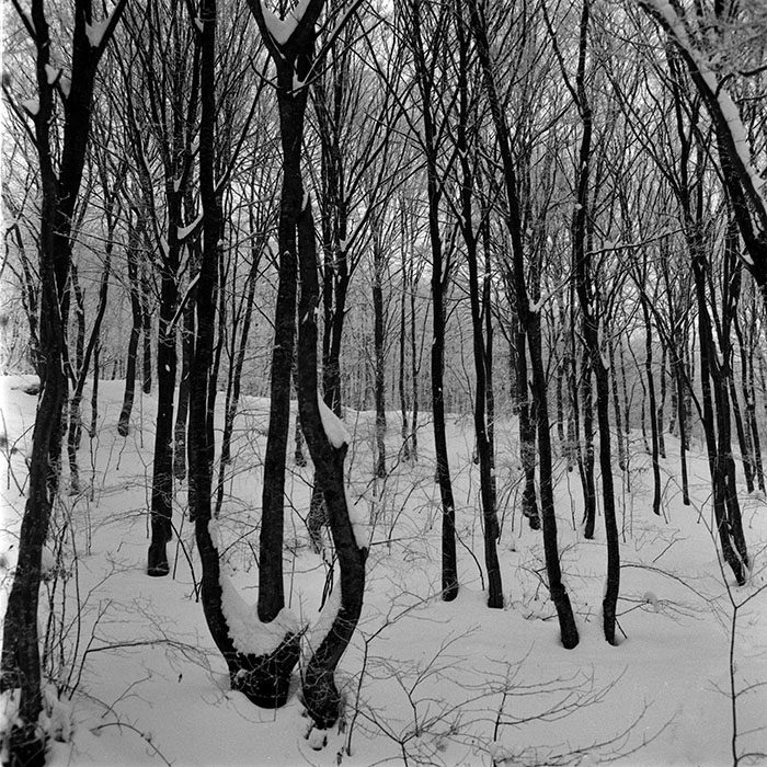 minerva_1972-1976_c1_c09_016