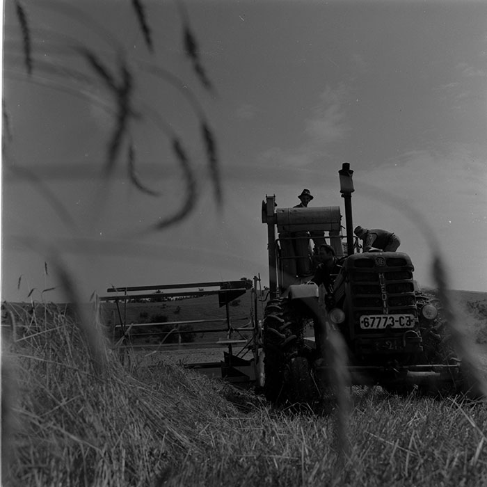 minerva_1972-1976_c1_c11_017