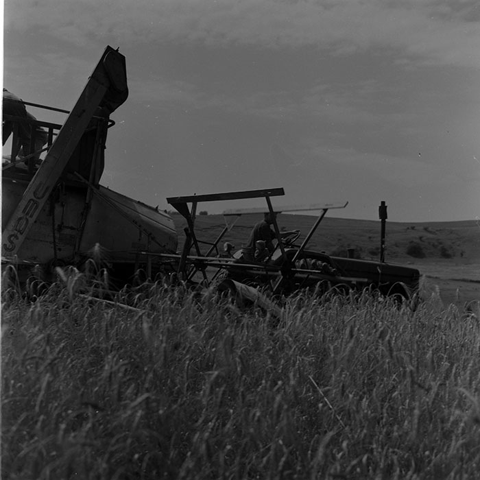 minerva_1972-1976_c1_c11_018