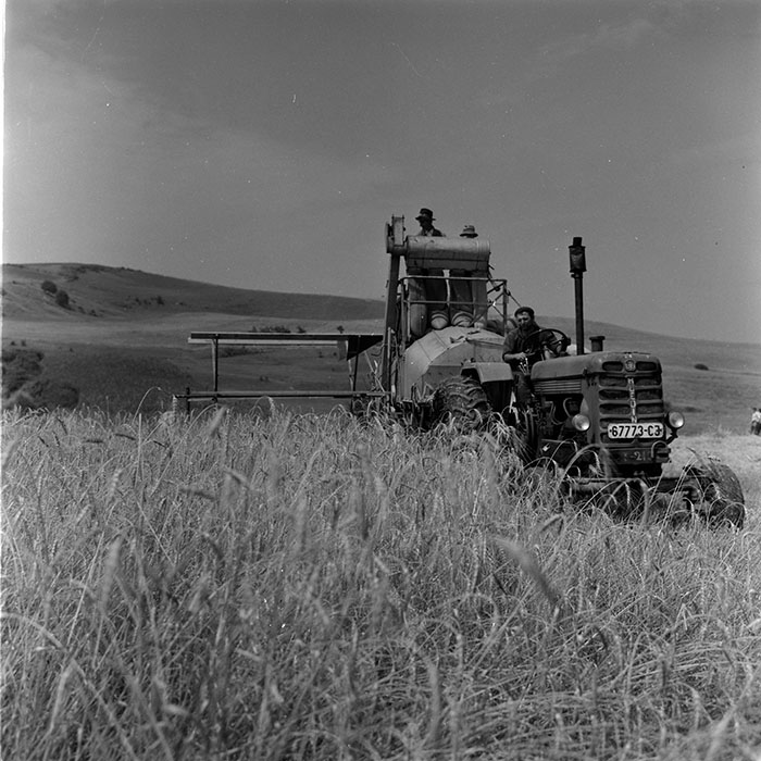 minerva_1972-1976_c1_c11_019