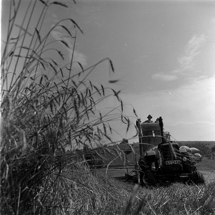 minerva_1972-1976_c1_c11_037