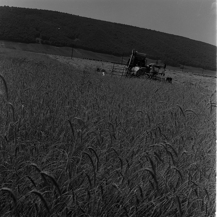 minerva_1972-1976_c1_c11_039