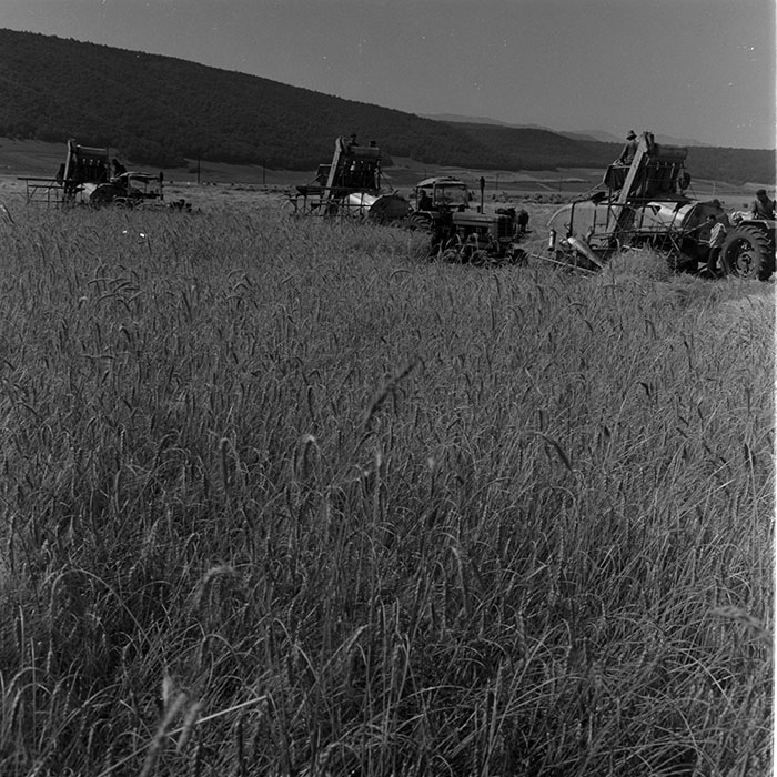 minerva_1972-1976_c1_c11_041