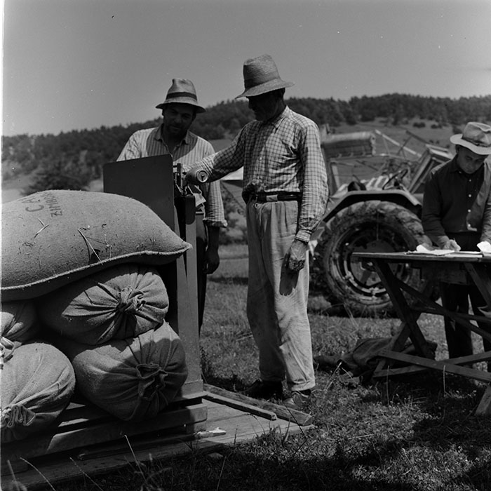 minerva_1972-1976_c1_c11_042