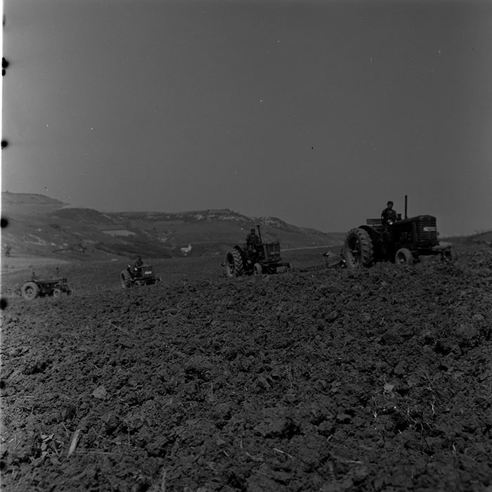 minerva_1972-1976_c1_c11_046