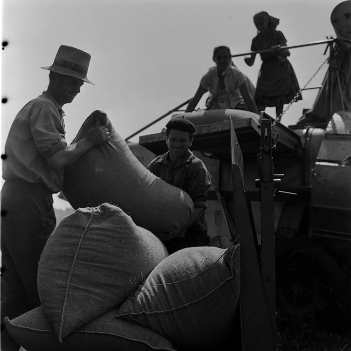 minerva_1972-1976_c1_c11_047