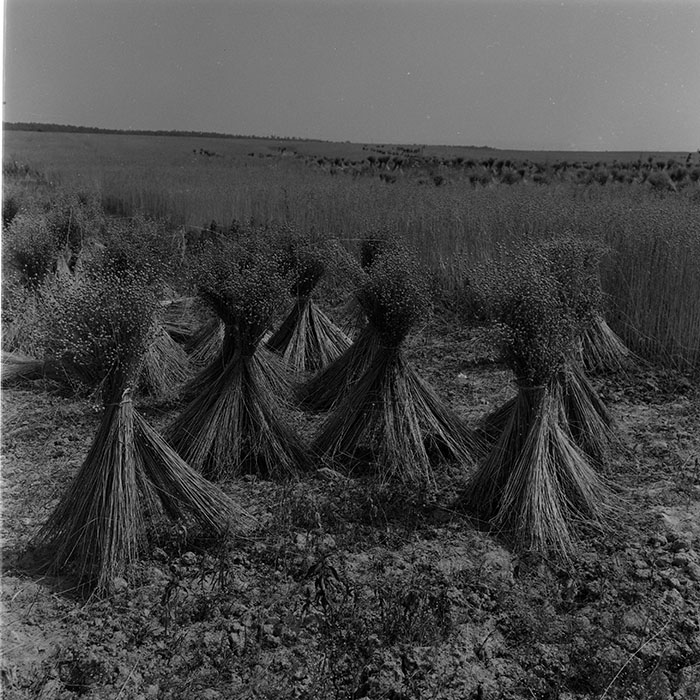 minerva_1972-1976_c1_c11_051