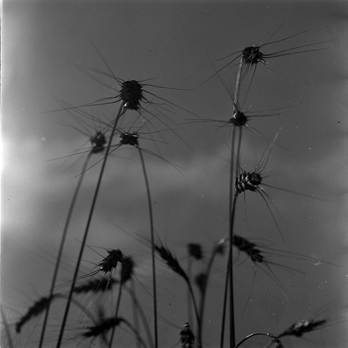 minerva_1972-1976_c1_c11_054