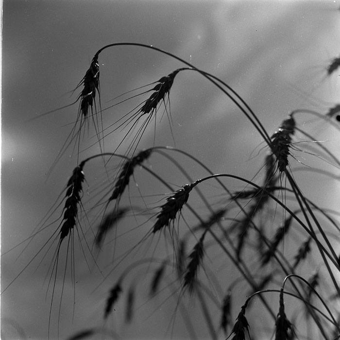 minerva_1972-1976_c1_c11_055