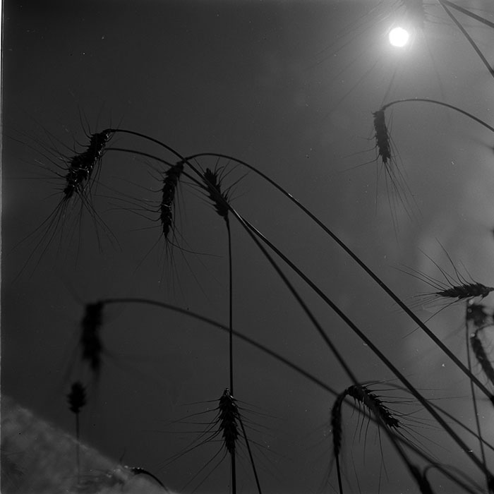 minerva_1972-1976_c1_c11_056