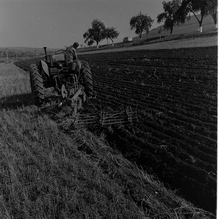 minerva_1972-1976_c1_c11_061