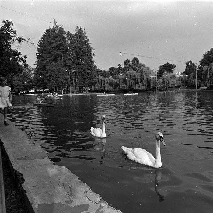 minerva_1972-1976_c1_c13_026