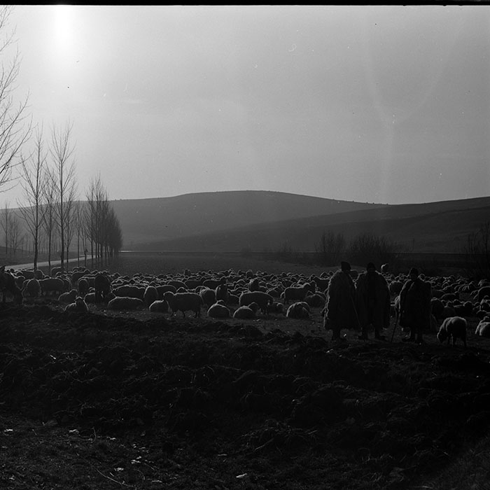 minerva_1972-1976_c1_c13_033