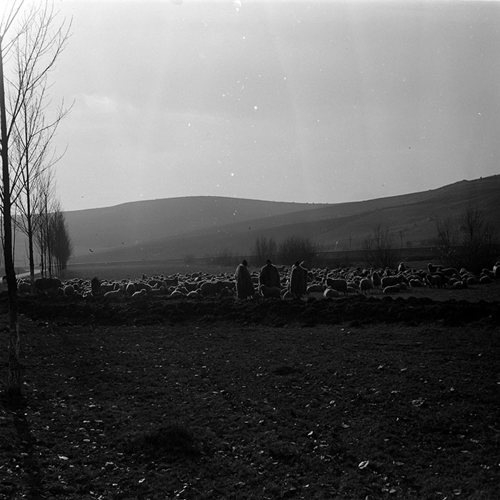 minerva_1972-1976_c1_c13_034