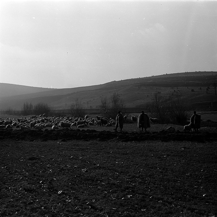 minerva_1972-1976_c1_c13_035