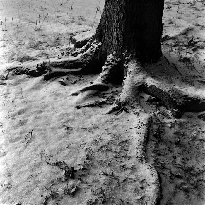 minerva_1972-1976_c1_c13_064