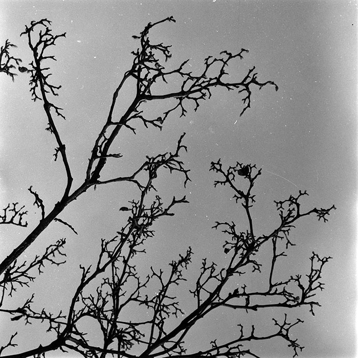 minerva_1972-1976_c1_c13_065