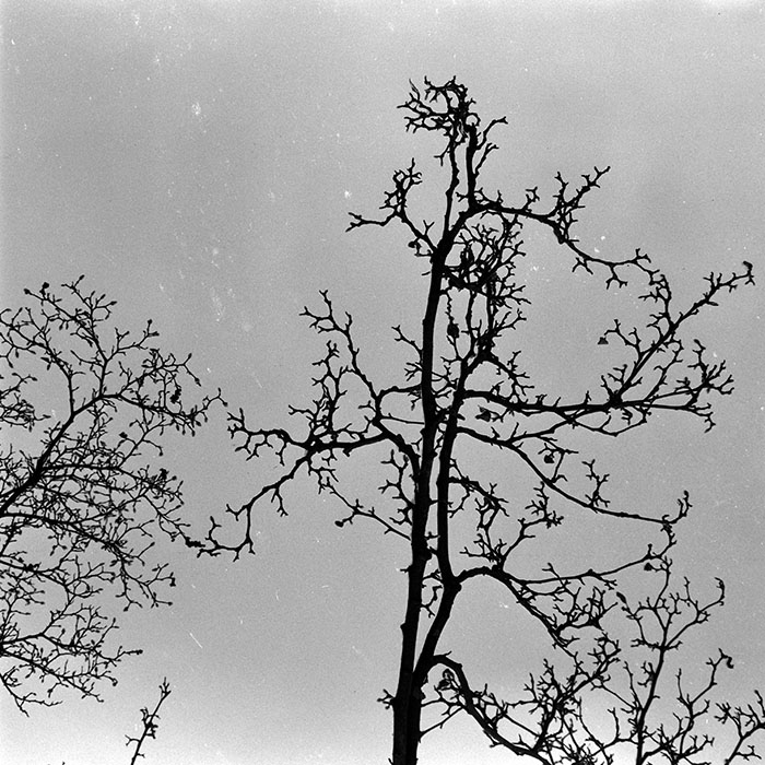 minerva_1972-1976_c1_c13_066