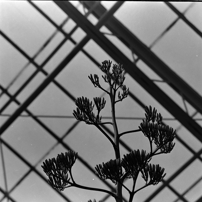 minerva_1972-1976_c1_c14_076