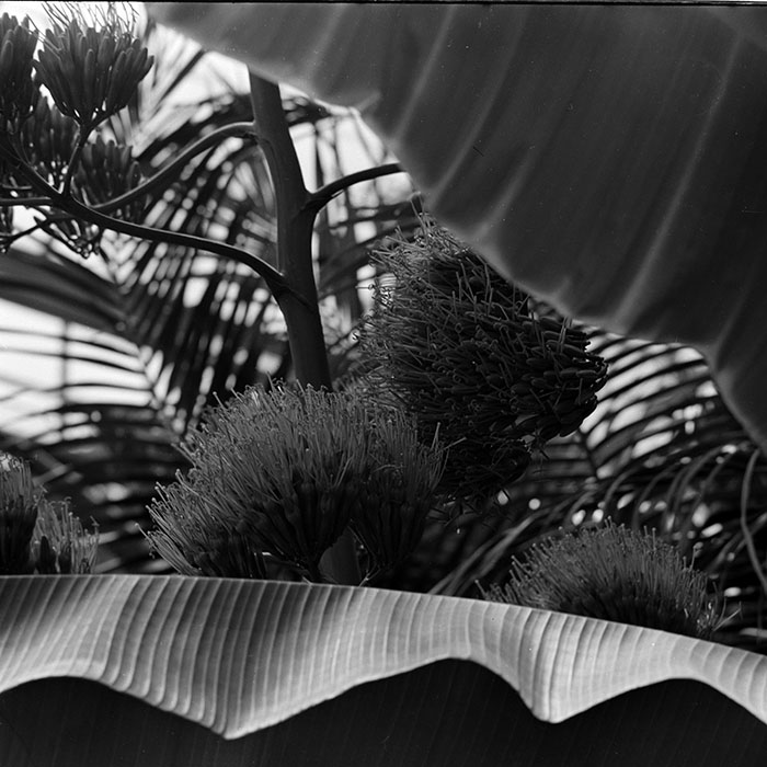 minerva_1972-1976_c1_c14_077