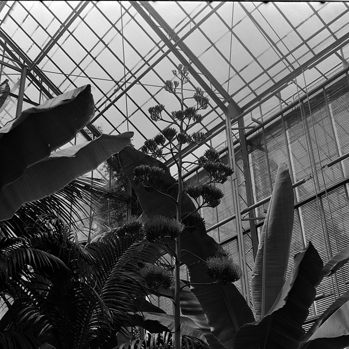 minerva_1972-1976_c1_c14_078