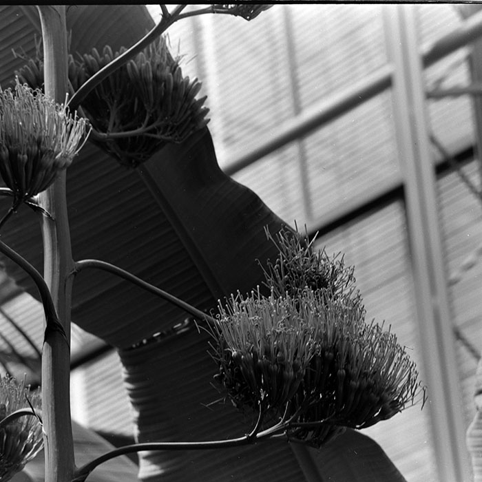 minerva_1972-1976_c1_c14_079