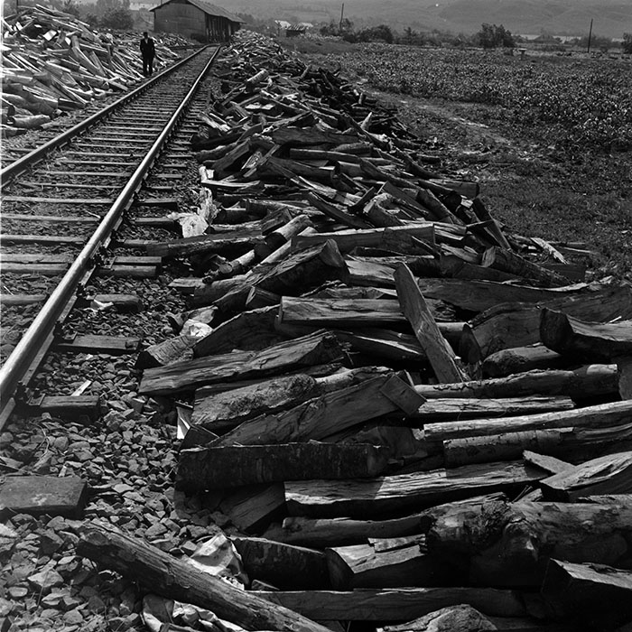 minerva_1972-1976_c1_c14_091