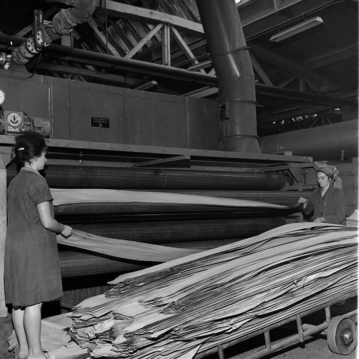 minerva_1972-1976_c1_c14_097