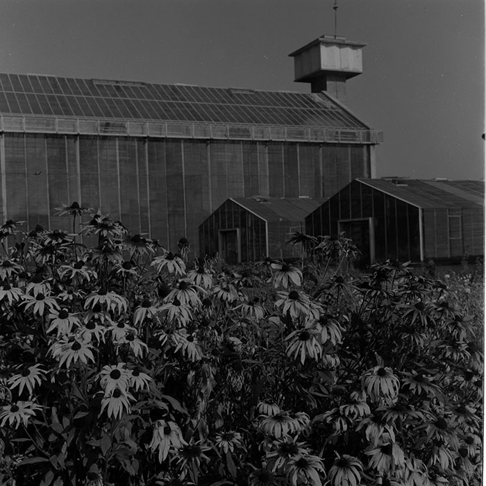 minerva_1972-1976_c1_c14_119