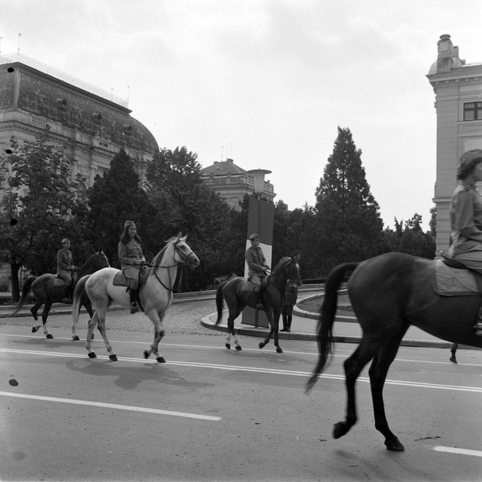 minerva_1973_c1_c10r4_058