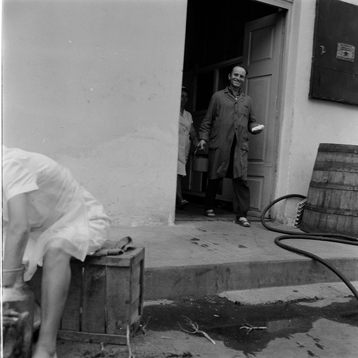 minerva_1973_c1_c10r5_039