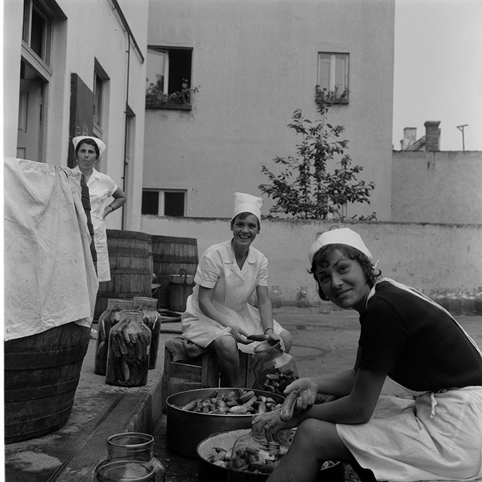 minerva_1973_c1_c10r5_040