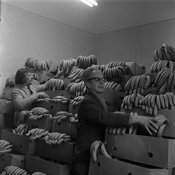 minerva_1973_c1_c1r3_001