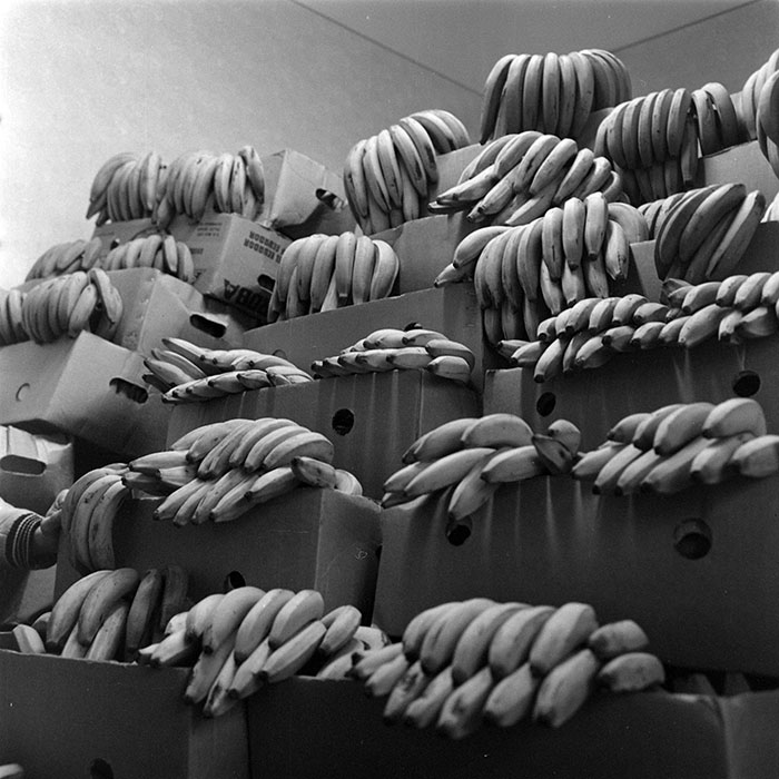 minerva_1973_c1_c1r3_004