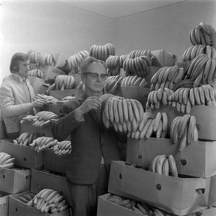 minerva_1973_c1_c1r3_005