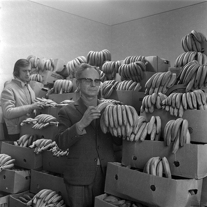 minerva_1973_c1_c1r3_006