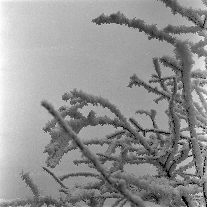 minerva_1973_c1_c1r5_018