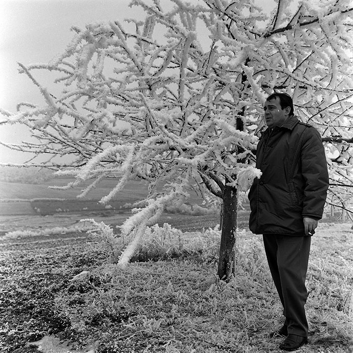 minerva_1973_c1_c1r5_019