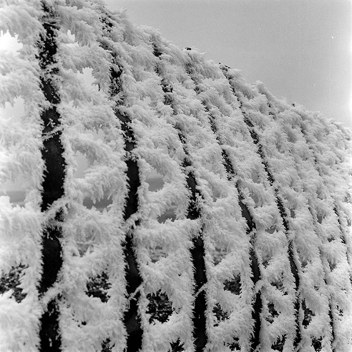 minerva_1973_c1_c1r5_020